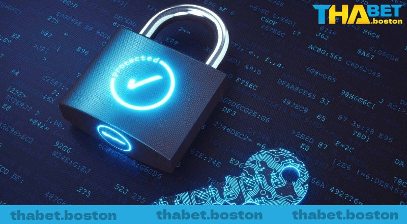 Điều khoản sử dụng thông tin khách hàng